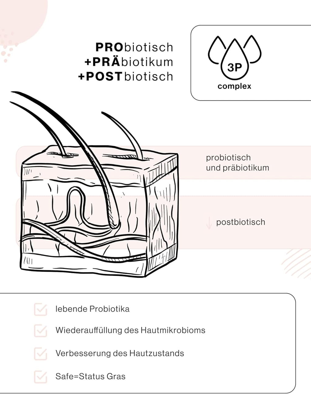 MOLIV Regenerierende Gesichtscreme, Feuchtigkeitsspendende Gesichtscreme, Nährende Gesichtscreme, Anti-Aging Gesichtscreme Mit Lebenden Probiotika (Feuchtigkeitsspendend)