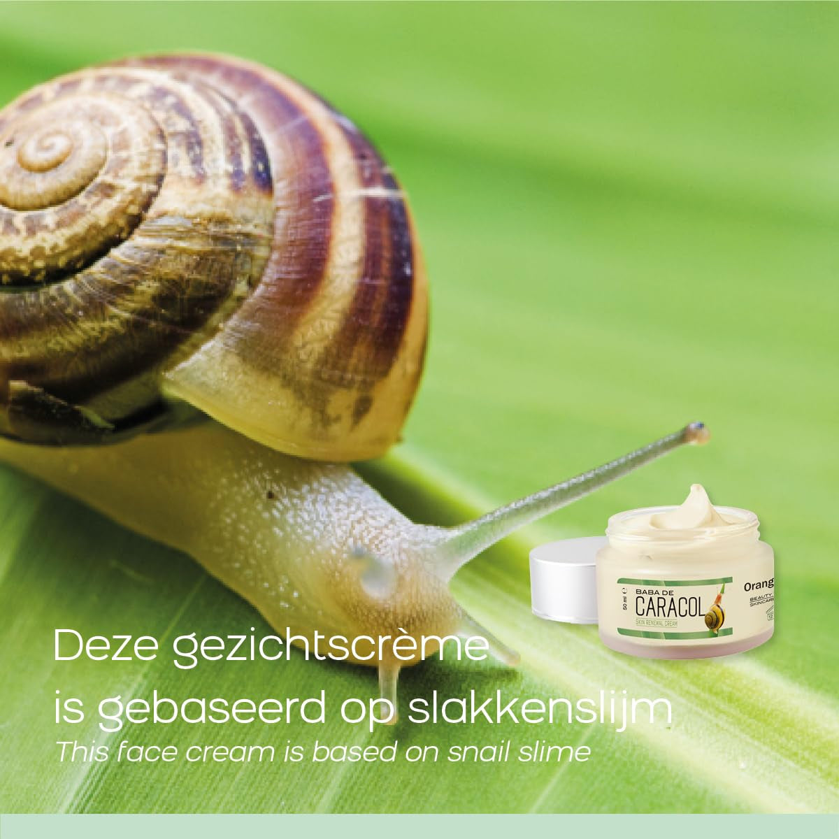 Orange Care Baba De Caracol Gesichtscreme Mit Schneckenschleim, Allantoin, Glykolsäure, Kollagen, Elastin, Schneckencreme - Schneckengel - Heilung & Weniger Akne, Narben, Anti-Aging (1)